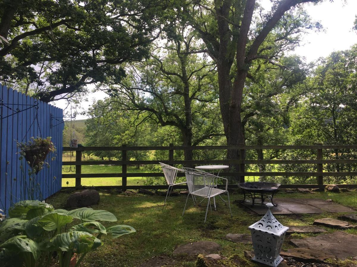 Posh Huts Farmstay Falstone Exterior foto